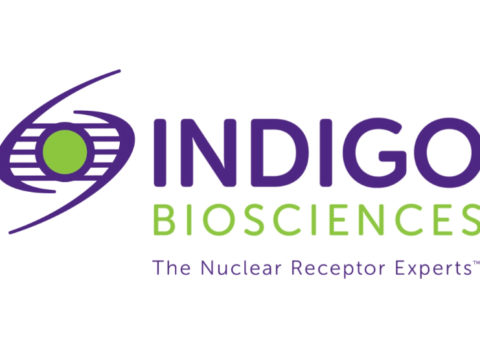 Logo Animation – Indigo Biosciences